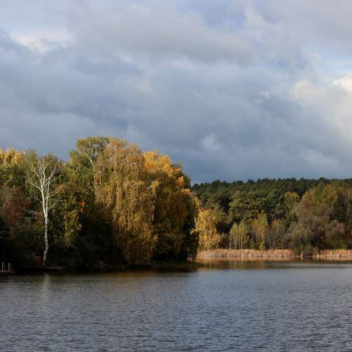 Photo #12663560