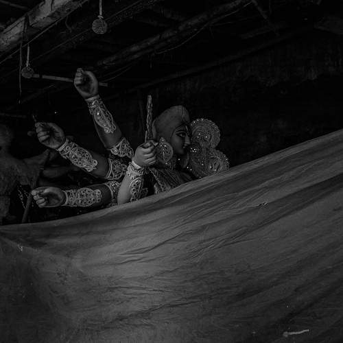 Photo #12663718