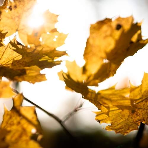 Photo #12664298