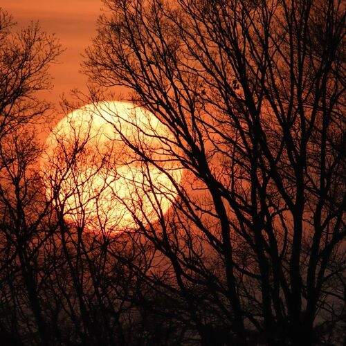 Photo #12664835