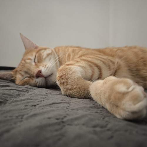 Photo #12664992