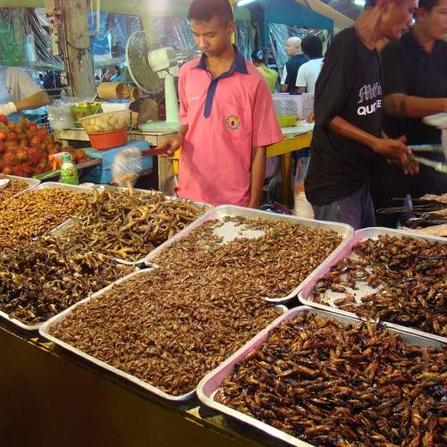 Фотография #12665078