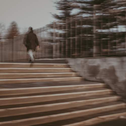 Photo #12665518
