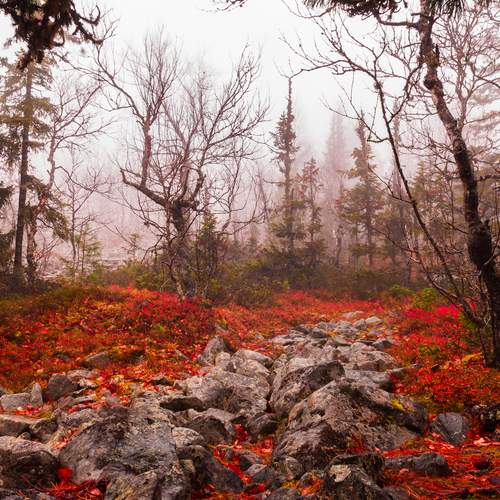 Photo #12665891