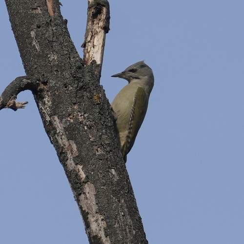 Photo #12665943