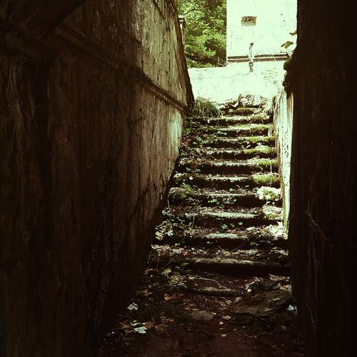 Photo #12666164
