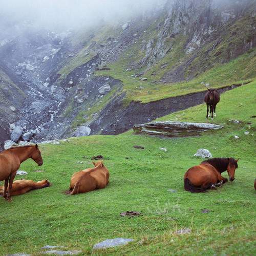 Photo #12666383