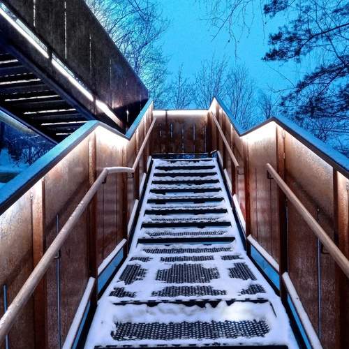 Photo #12666651