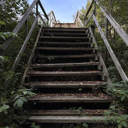Photo #12666865