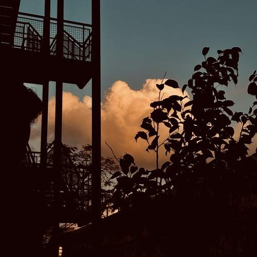 Photo #12667048