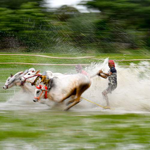 Photo #12667232