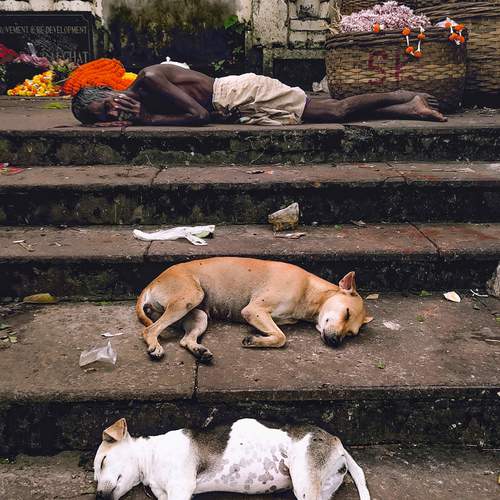 Photo #12667251