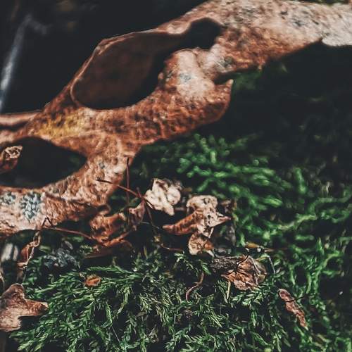 Photo #12667433