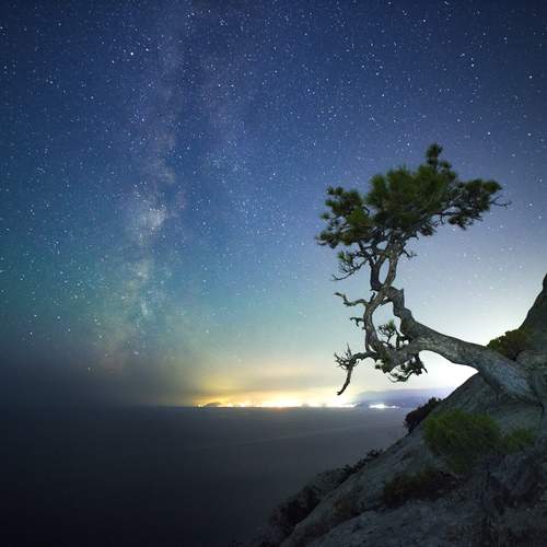 Photo #12668281