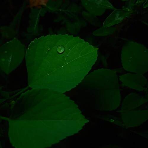 Photo #12668419