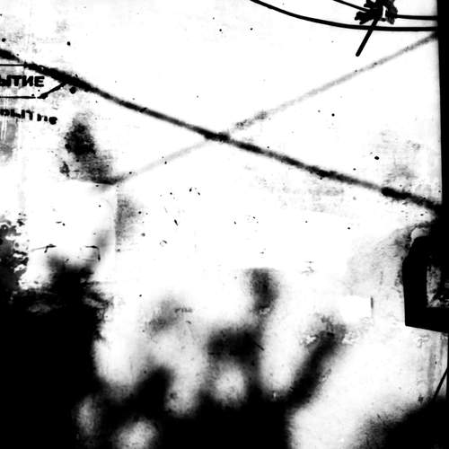 Photo #12668445