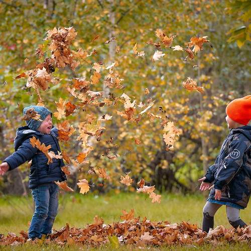 Photo #12668737