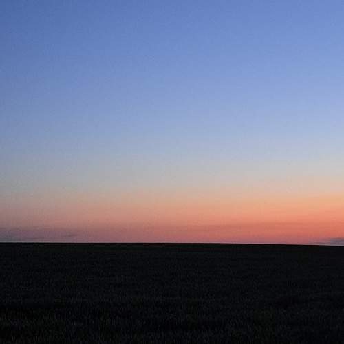 Photo #12668927
