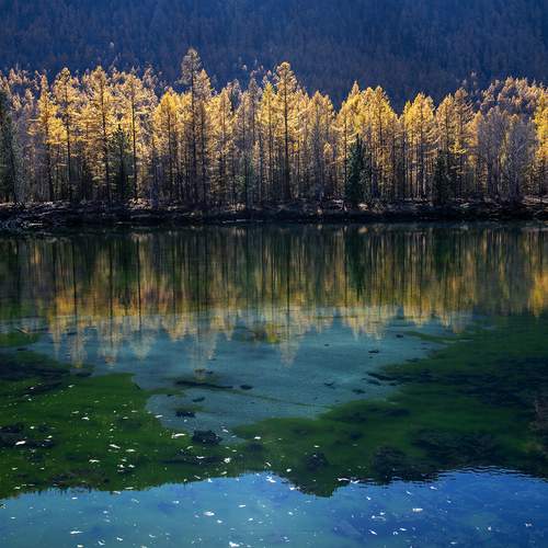 Палитра осени.