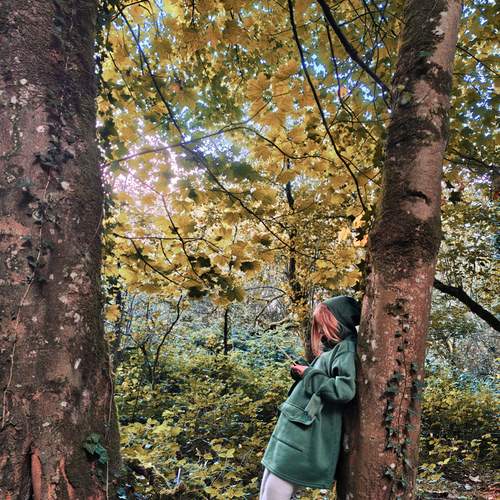 Photo #12669344
