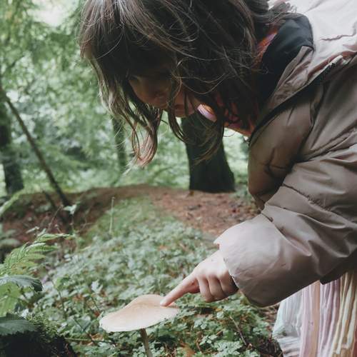 Photo #12669347