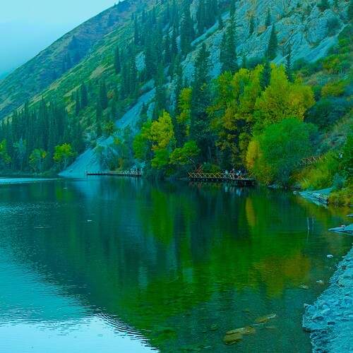 Photo #12669375