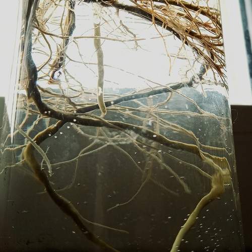 Photo #12669725