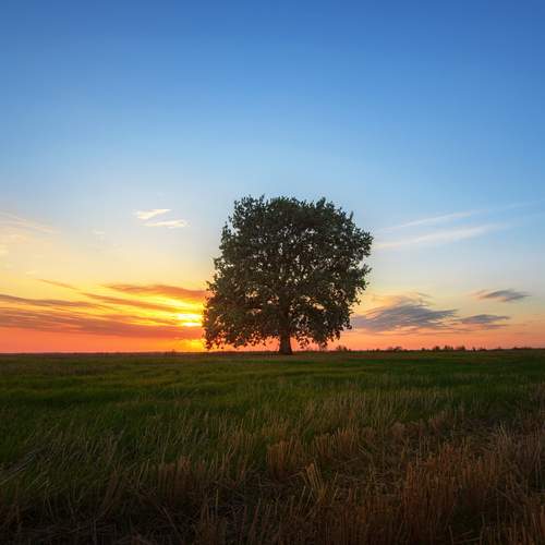 Фотография #12669790