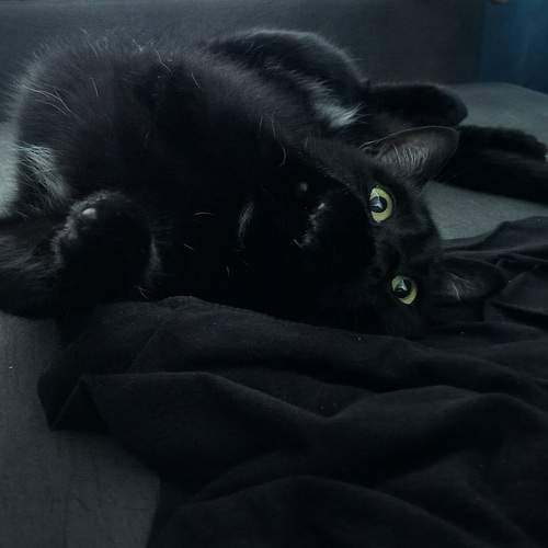 Photo #12669893