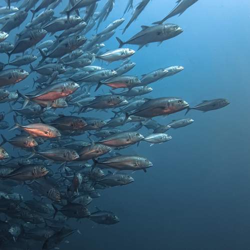 Photo #12670369
