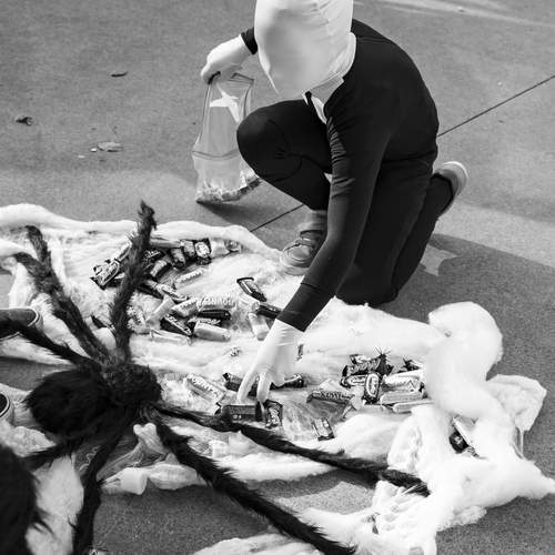 Photo #12670659