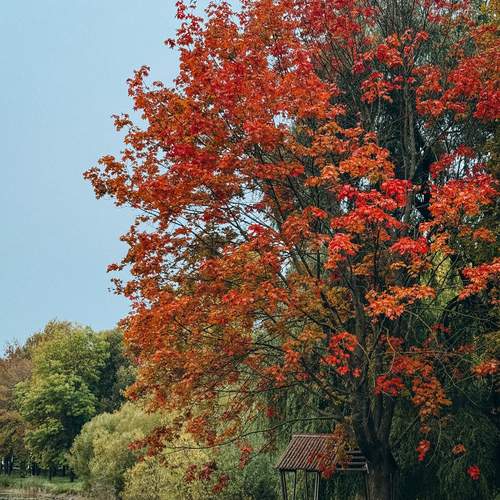 Photo #12670771