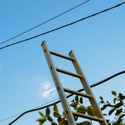 Photo #12671307