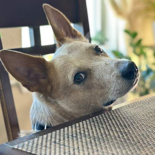 Photo #12671467