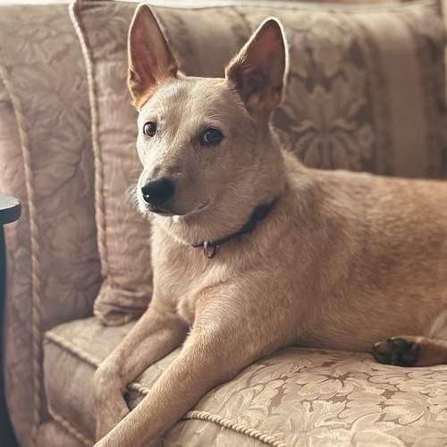 Photo #12671469