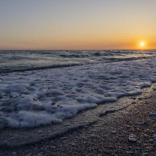 Photo #12671633