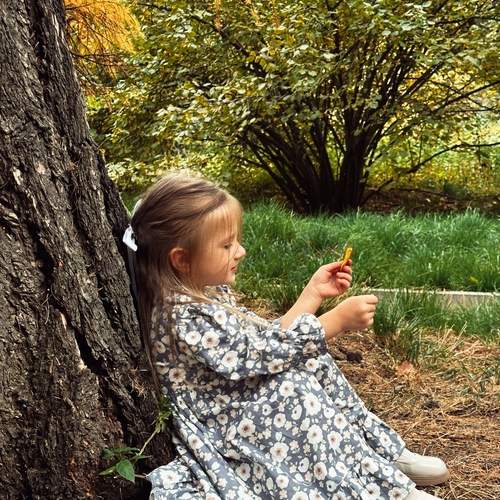 Photo #12671792
