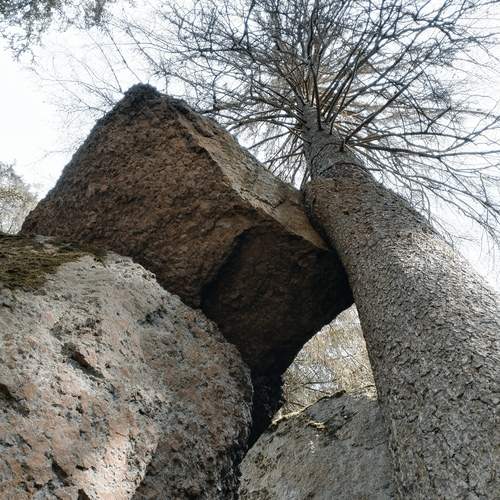 Photo #12672108