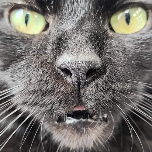 Photo #12672338