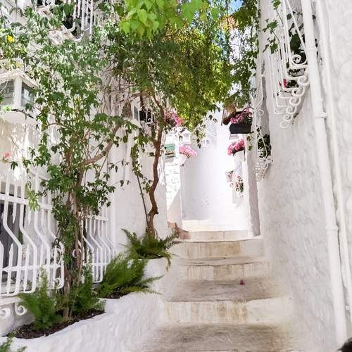 Photo #12672523