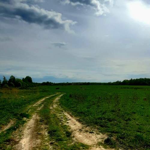 Photo #12672588