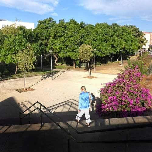 Photo #12672745