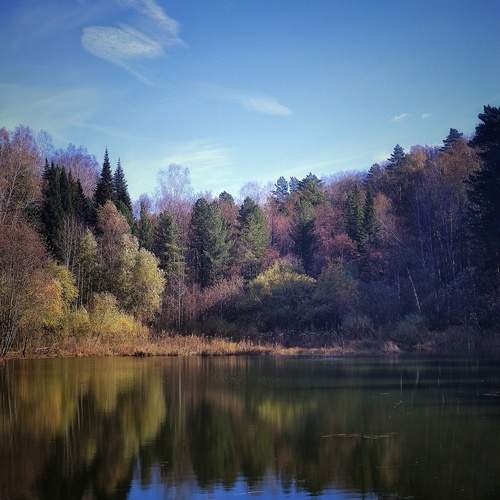 Photo #12672785