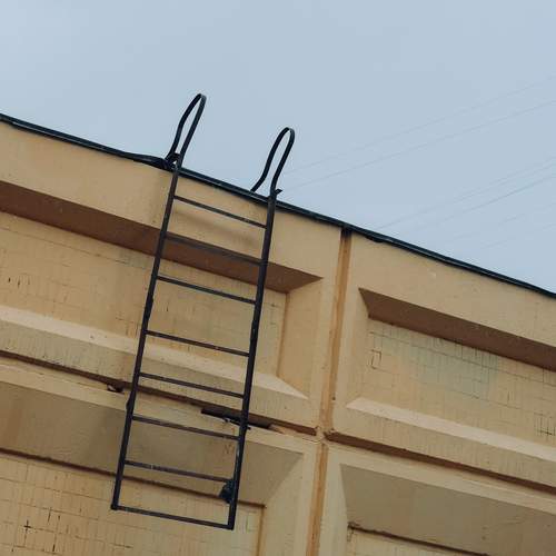 Photo #12673135