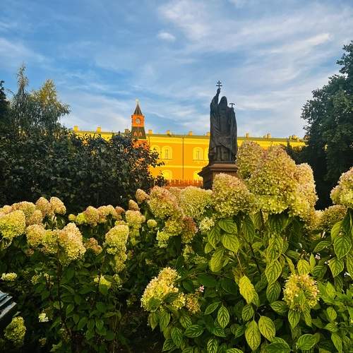 Photo #12674351