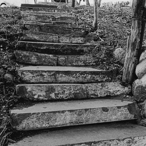 Photo #12674516