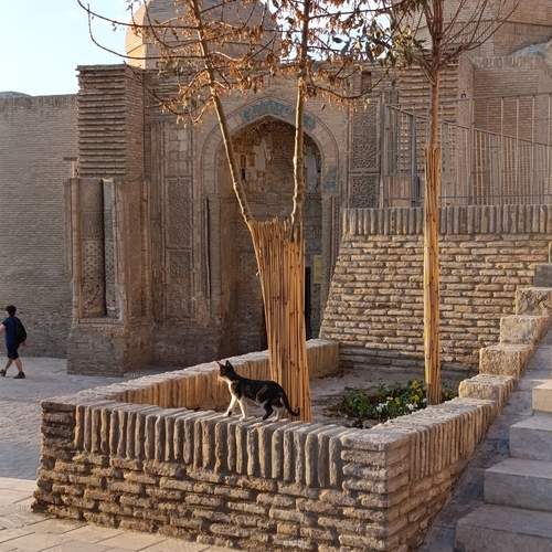 Photo #12674686
