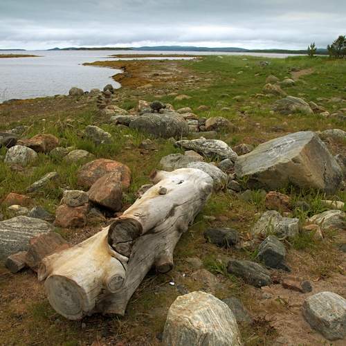 Photo #12675428