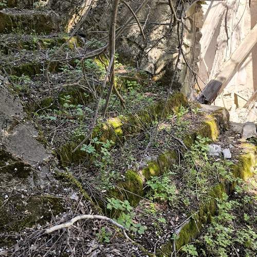Photo #12675494