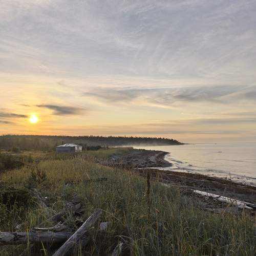 Photo #12676130